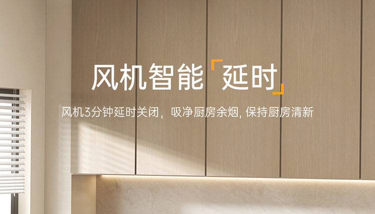 帅丰V6ZK-90蒸烤独立集成灶