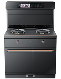 星辰X6蒸烤独立