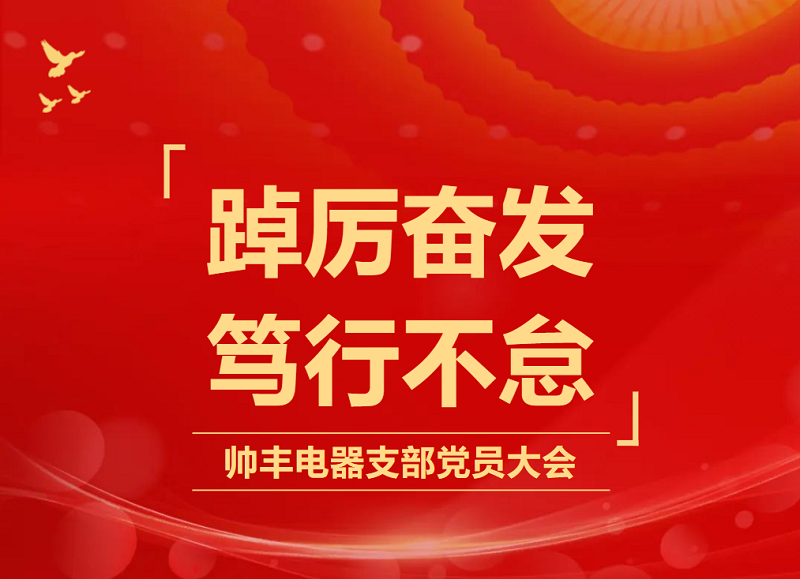 踔厉奋发 笃行不怠 | 帅丰电器开展支部党员大会暨书记讲党课   